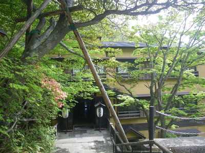 つくしんぼ鍼灸養生院　　　２０１２．６．２５．_d0171229_7562010.jpg