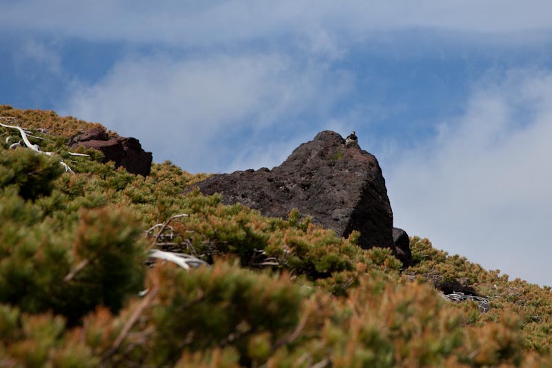 c0216331_0141610.jpg