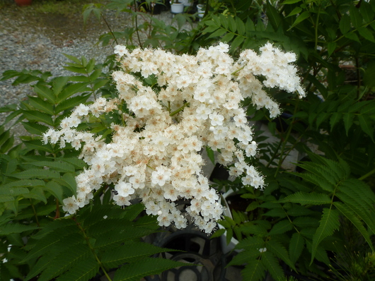 a0228333_23551678.jpg