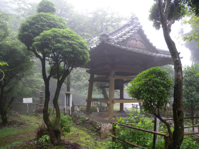 鎮南山へタマゴタケ探索、結果は？_e0272335_20364880.jpg