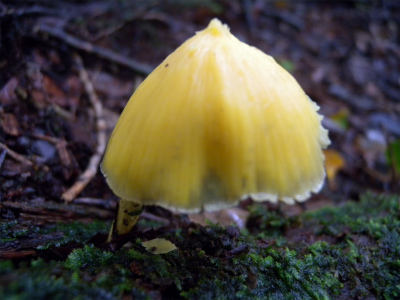 e0272335_20551290.jpg