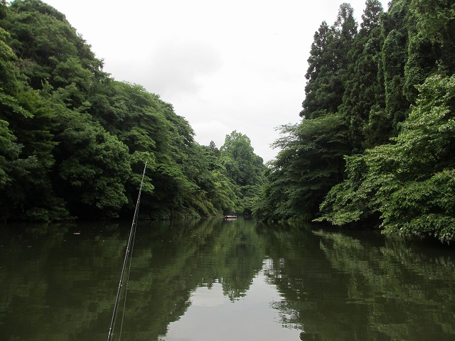 c0208836_2112255.jpg