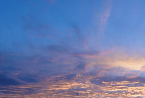 a0048445_233257.jpg