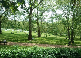 b0110545_8584957.jpg