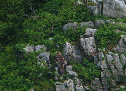 e0128650_20483072.jpg