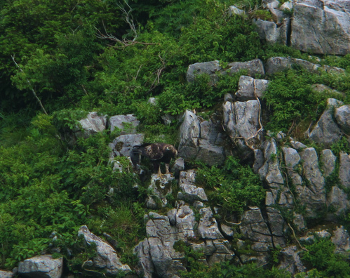 e0128650_21231782.jpg