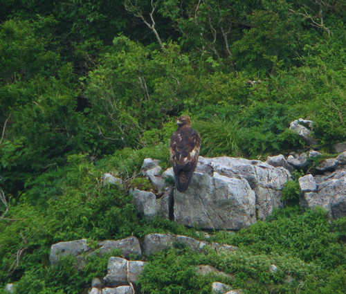 e0128650_21244160.jpg