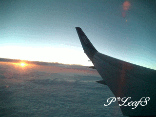 c0176651_1833884.gif
