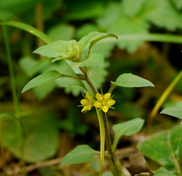 d0091754_18341.jpg