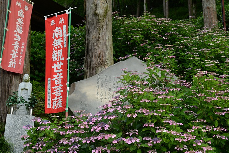 f0222161_13442272.jpg