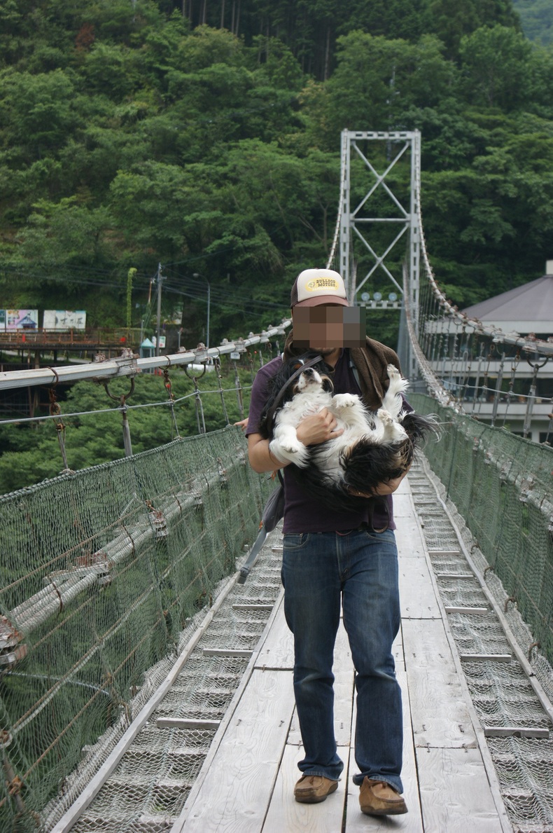 十津川レポ。_f0161964_144542.jpg