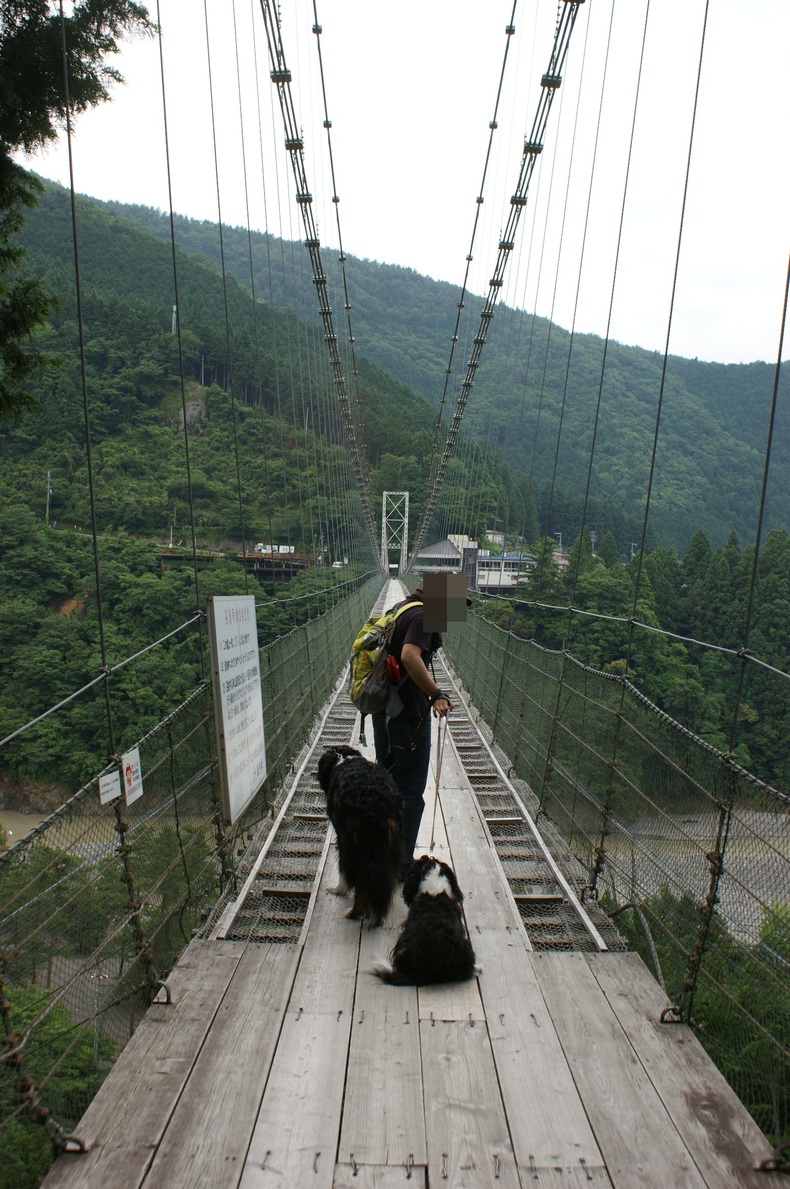 十津川レポ。_f0161964_183196.jpg