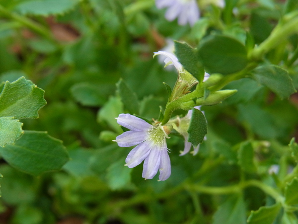b0194267_2024950.jpg