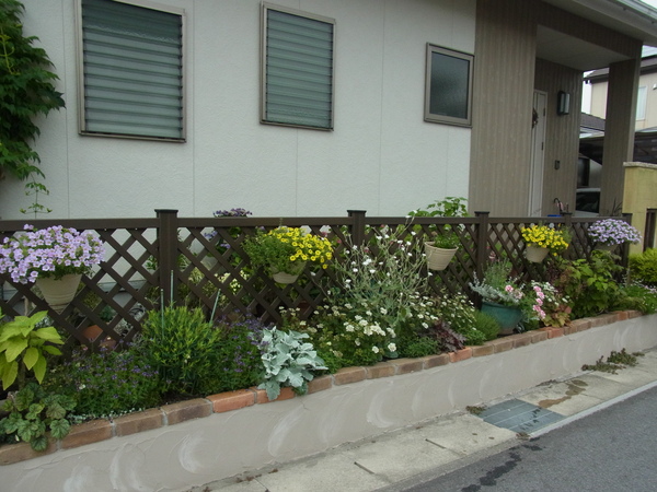 b0194267_2035697.jpg