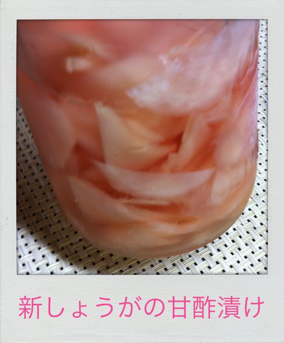 新しょうがの甘酢漬け_c0180971_20153756.jpg