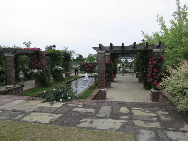 花フェスタ記念公園❁_e0233674_10483457.jpg