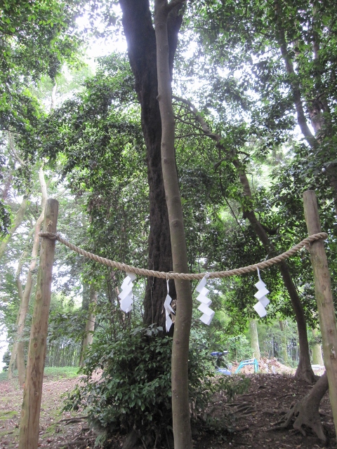 おうみだより♪（近江八幡・賀茂神社の地鎮祭に参加させていただきました！）_f0203477_1938312.jpg