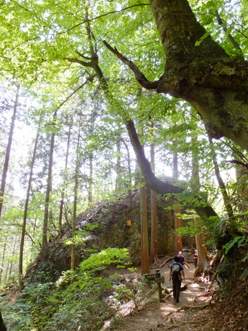 御岳山ロックガーデン　〜5月27日(日)〜　その③_a0043982_16535398.jpg