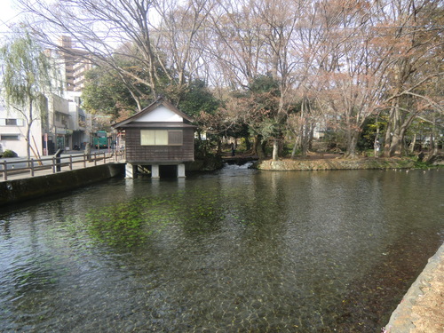 b0214184_22252898.jpg