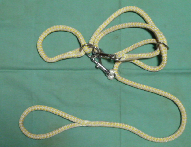 f0166694_2213334.jpg