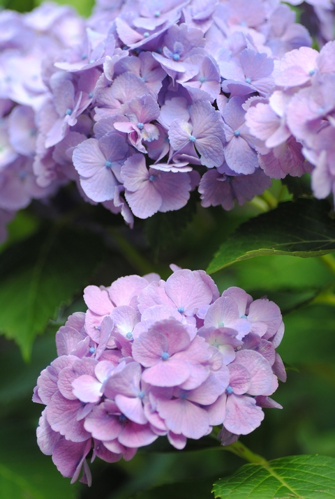 6月のレッスン_c0195496_23335245.jpg