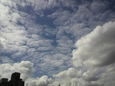 a0126797_1119439.jpg