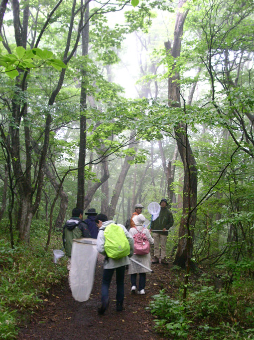 d0266698_2133013.jpg