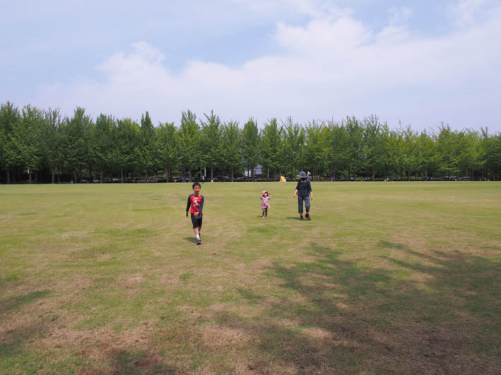 e0064400_6295931.jpg