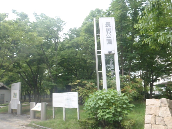 e0201401_17736.jpg