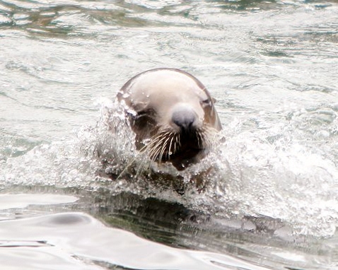 c0155902_20152989.jpg