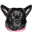 f0220504_14534032.gif