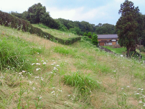 アトリエ蒼通信268 2012年6月26日(火) _b0129807_21524759.jpg