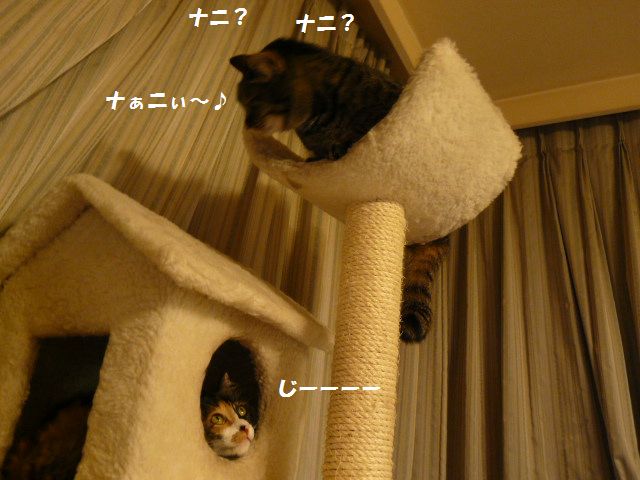 e0094407_21103892.jpg