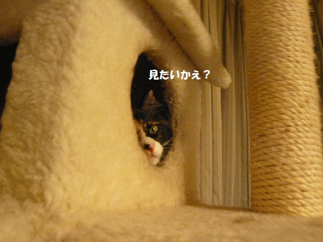 e0094407_21114180.jpg