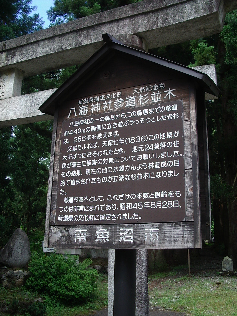 e0243008_2211524.jpg