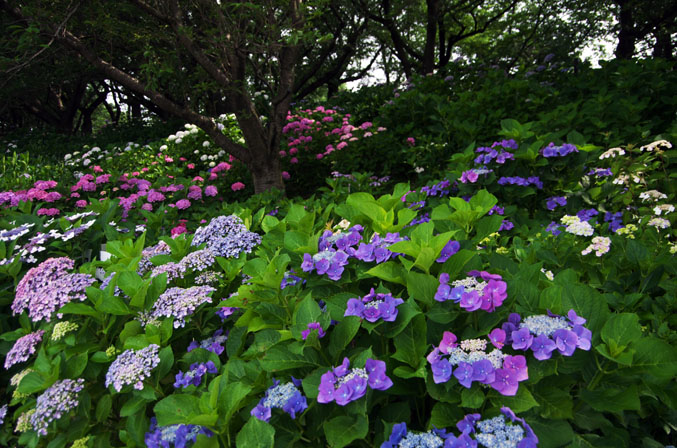 a0263109_14461256.jpg