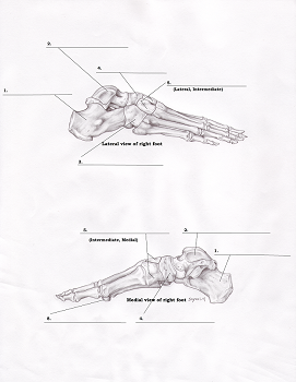 b0112009_11101724.png
