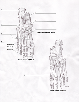 b0112009_1110643.png