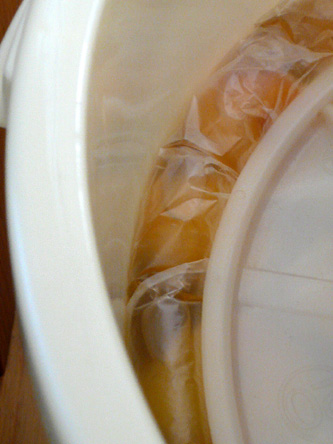 2012年 梅干しづくり 2日目_d0020309_7532012.jpg