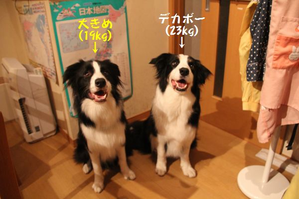 d0224111_725098.jpg