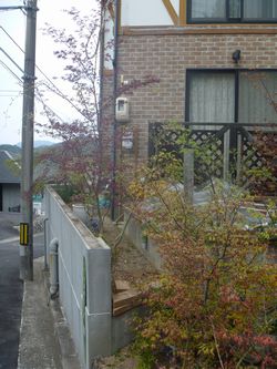 b0131012_9473635.jpg