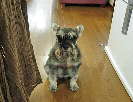 e0020214_0513224.gif