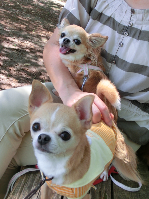 c0200916_21523513.jpg