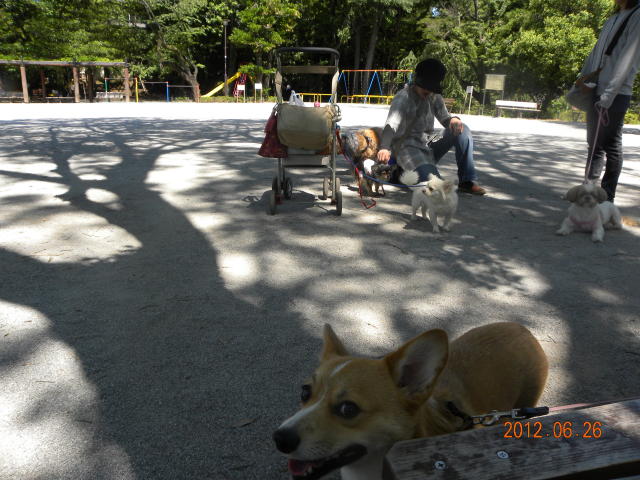b0203018_16544356.jpg