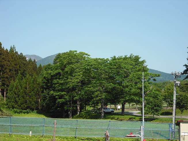 a0173819_8251171.jpg