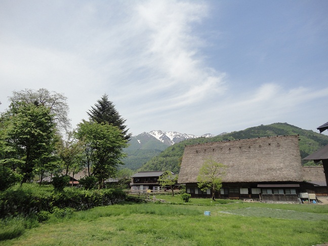 f0127021_23154891.jpg