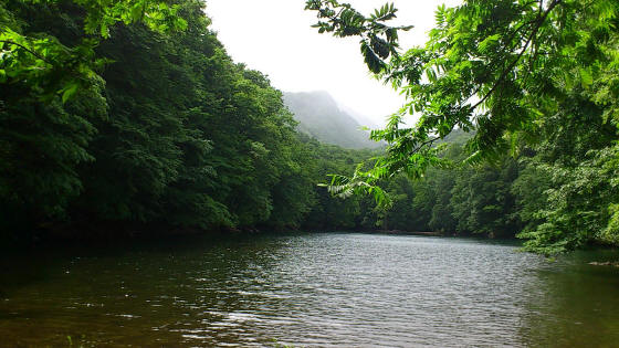 b0147224_213121.jpg
