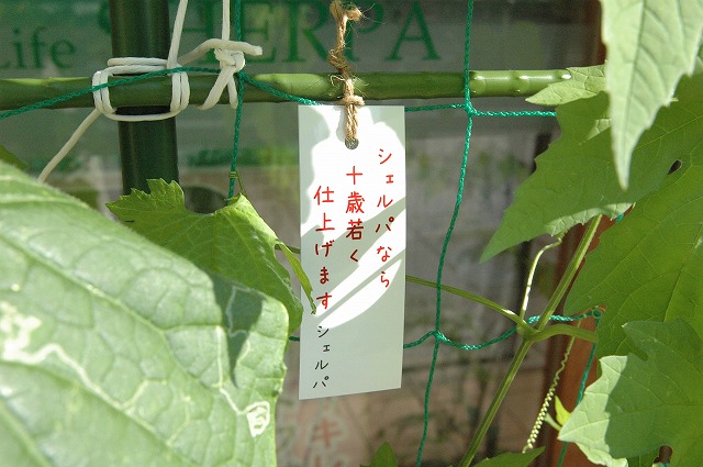 思い出を 形に残す 良い仕事_f0221724_16461183.jpg