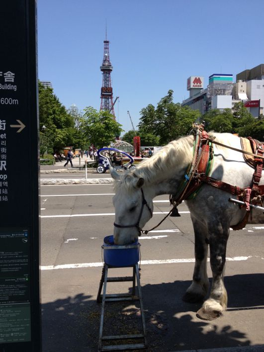 さらば札幌。また逢う日まで。_f0130632_15525211.jpg