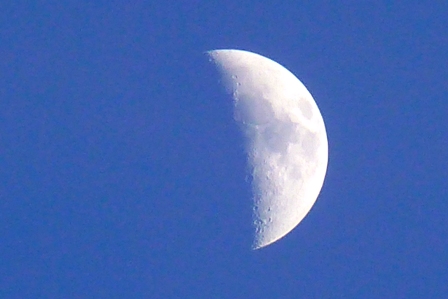 a0011534_20564678.jpg